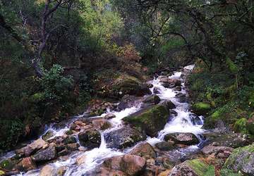 Nationalpark Peneda-Gerês