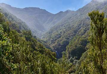 Levada im Lorbeerwald